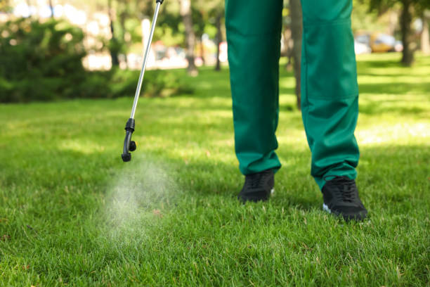Best Emergency Pest Control  in Ogallala, NE