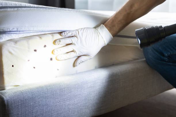 Best Affordable Pest Control Services  in Ogallala, NE